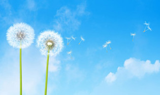 air