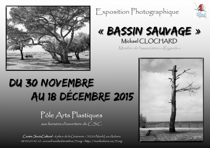 Affiche expo Mickael CLOCHARD 2015