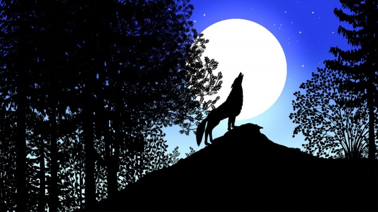 image-de-nuit-4