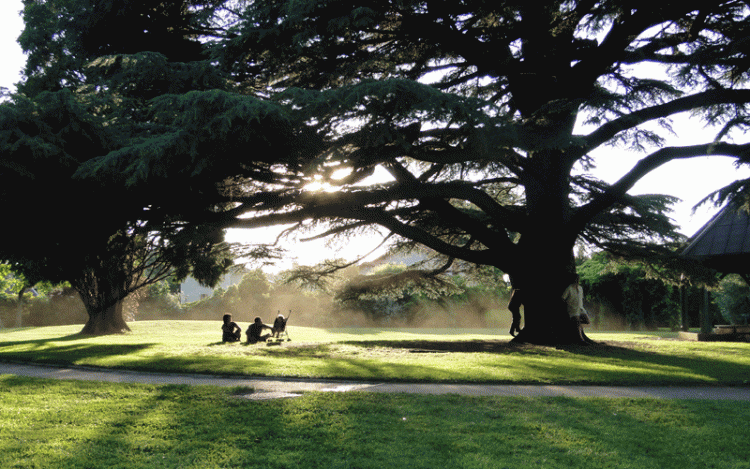 Parc-Manillier