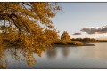 paysage de la brenne
