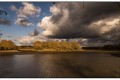 paysage de la brenne