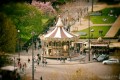 manege