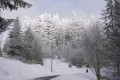 HAUTE SAVOIE 1