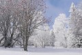 HAUTE SAVOIE 2