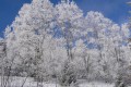 HAUTE SAVOIE 3