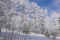 HAUTE SAVOIE 4