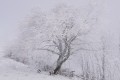 HAUTE SAVOIE 5