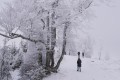 HAUTE SAVOIE 7