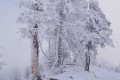 HAUTE SAVOIE 8