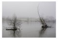 pescalis dans la brume et le froid...