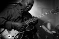 Les Chicago blues 5