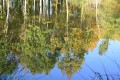 Reflets1