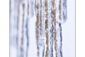 Stalactites