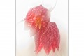 Gourmandises de printemps