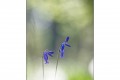 Minimalisme de saison.