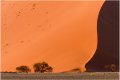 Assaut matinal de la dune 