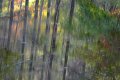 reflet impressionniste 1