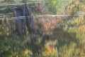 reflet d'automne en Brenne