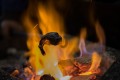 Monstre surgissant du feu