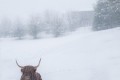 même pas froid !!
