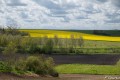 printemps attendu