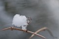 dscf4960