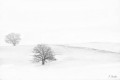 1er mars sous la neige en bocage