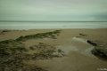île de ré janvier 2016 1