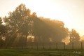 soleil matinal à le Taconnière