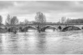 Orléans - La Loire en crue