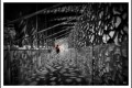 MUCEM