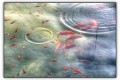 Poissons rouges...