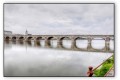Le Pont Cessart - SAUMUR