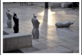 Violence urbaine....