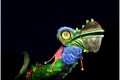 l'"Oisoo" de la Compagnie "Youplaboum"
