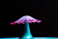 collision_gouttes16