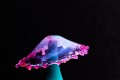 collision_gouttes17