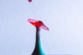 collision_gouttes28