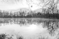 pescalis_2020-007