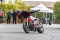 puces_motos_201831