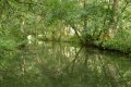 Marais poitevin