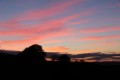 aubrac