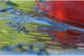 reflets