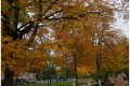 A l'automne !..