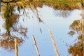 reflet