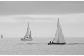 Bateau