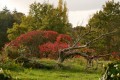 Couleurs d'automne