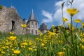 Château de Bressuire