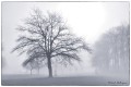 Brume presque matinale sur St Porchaire